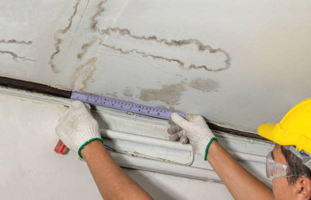Reliable Burst Pipe Cleanup contractor in Bay City, OR by Water Damage Irwin